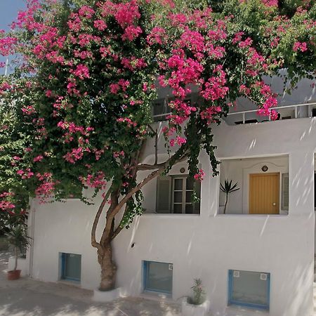 Glaros Studios Naxos City Buitenkant foto